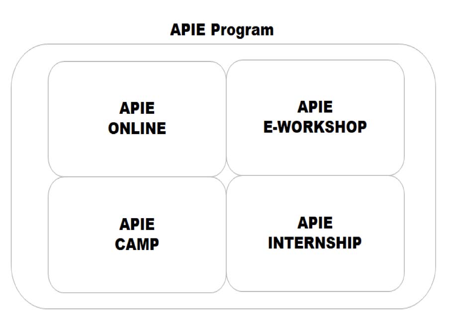 APIEプログラムのコンポーネント